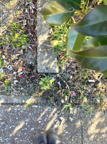 高島市安曇川町南古賀154坪売地のその他|境界