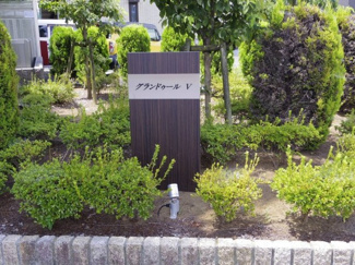  | グランドゥールⅤ　B棟