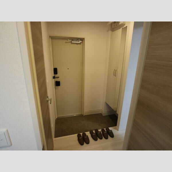 セレナヴィラ小阪Wの玄関