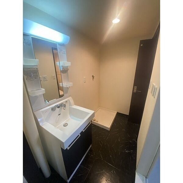 シェソワ東山の洗面所