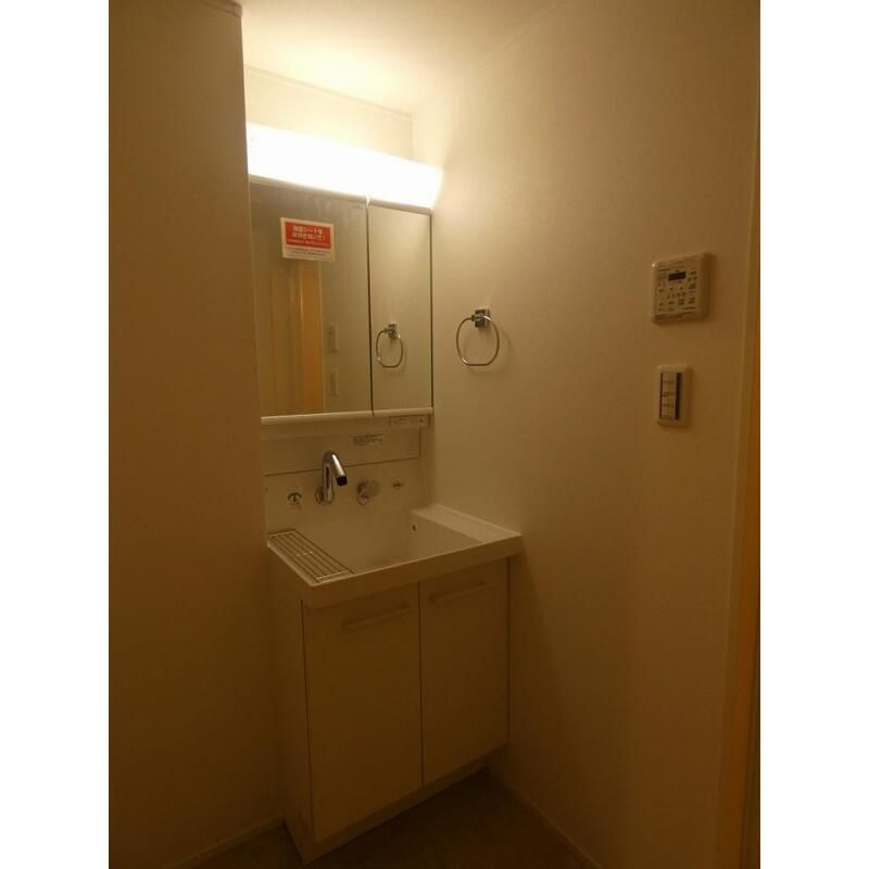 セレナ両国の洗面所