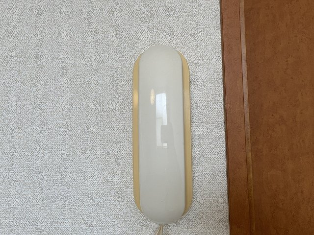 レオパレスマイスのその他