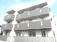 フェリシータの画像