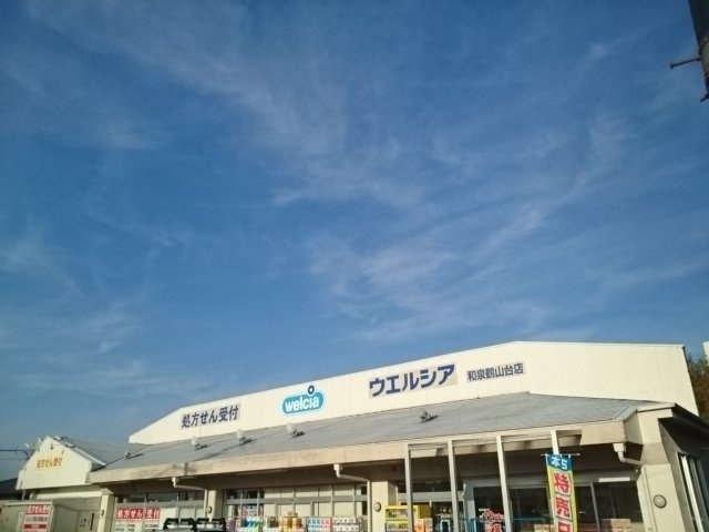 ジュネス王子の周辺|ウエルシア様まで900m