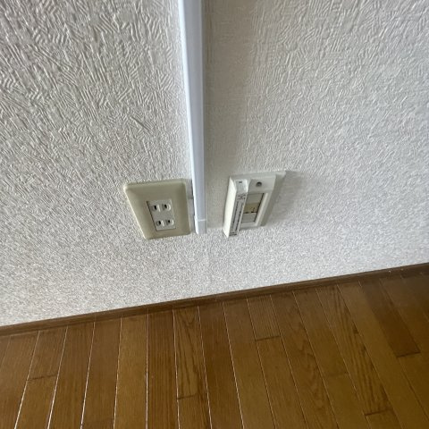 Ｔａｋａ　Ｃｏｕｒｔのその他
