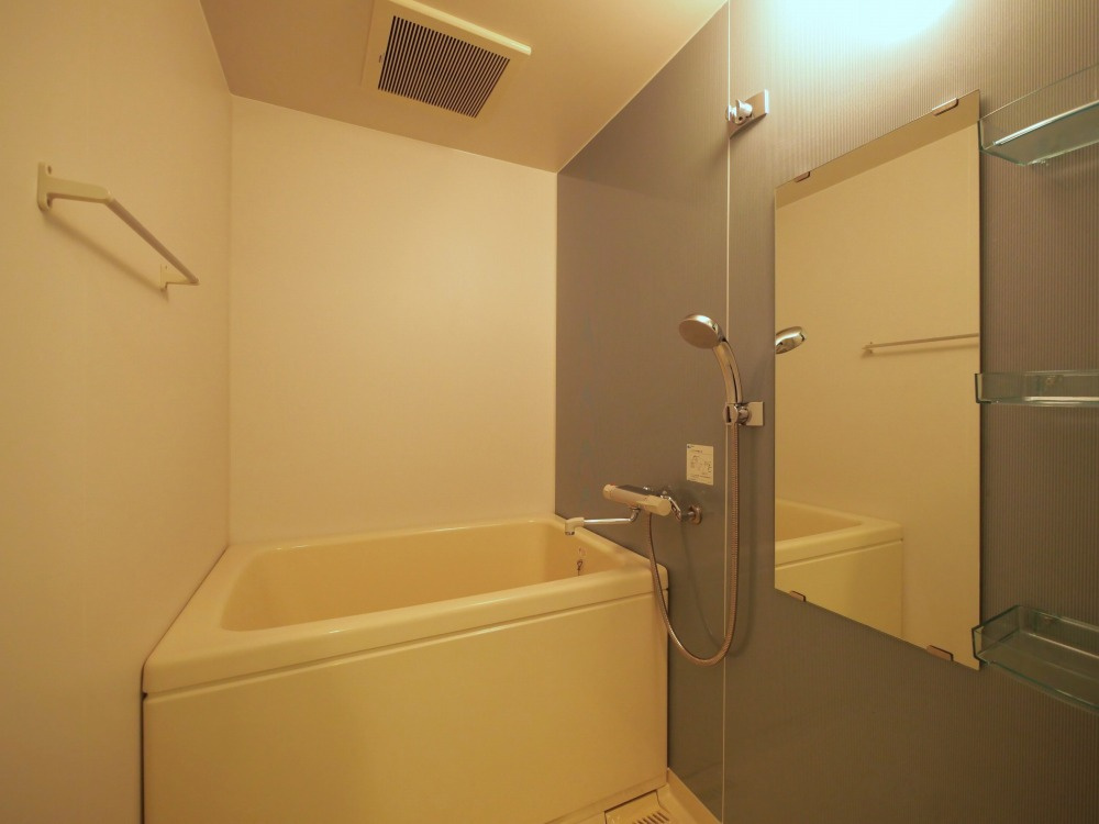 Fortuney北堀江の浴室