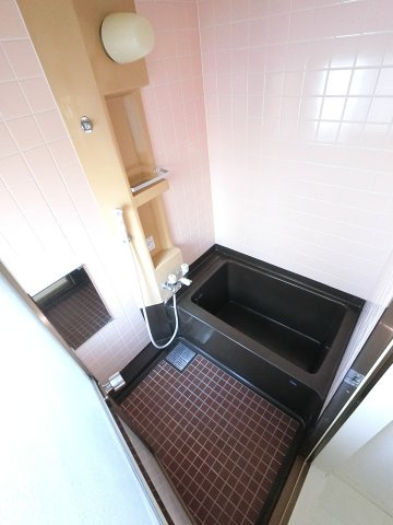 ロッジ・デ・モンタン津田沼 の浴室