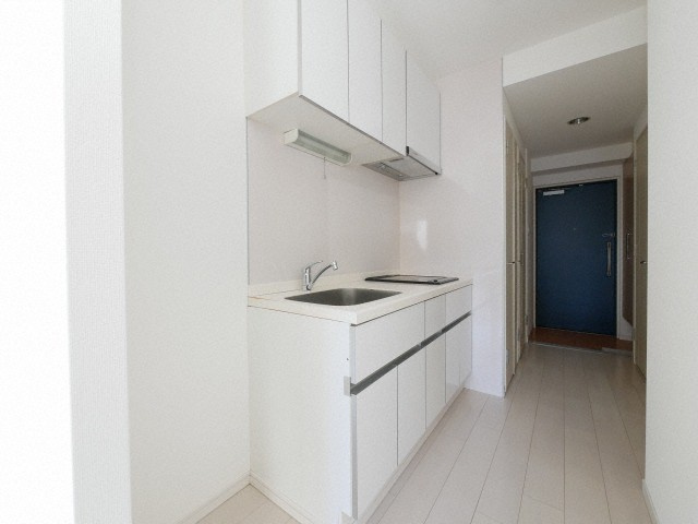 ゼニスレジデンス難波南の洋室