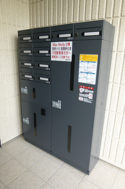 Ｍａｘ　Ｍｏｌｌｙ　Dのその他|★宅配ＢＯＸ★