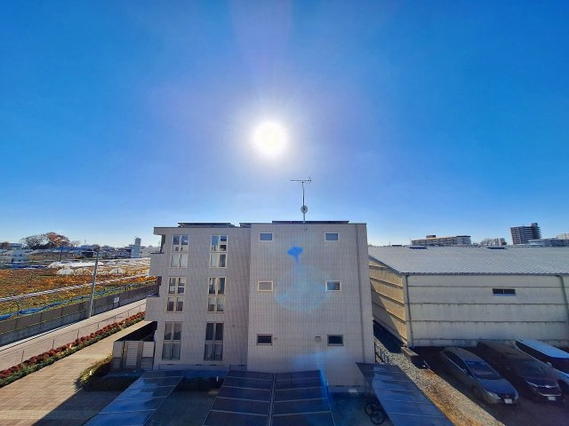 Ｍａｘ　Ｍｏｌｌｙ　Dの展望