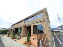 エレガントシーズンの画像