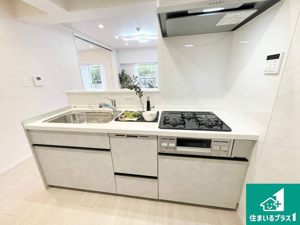 メゾンドール浜寺北のキッチン|食洗機つきのキッチンです