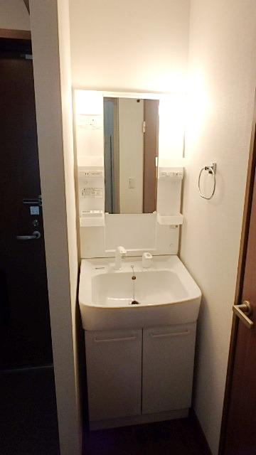 アパートメント両国緑の洗面所