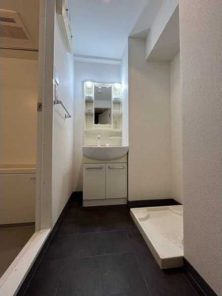 プロシード吹上の洗面所