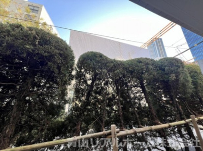 【展望】 | コスモスマーサ