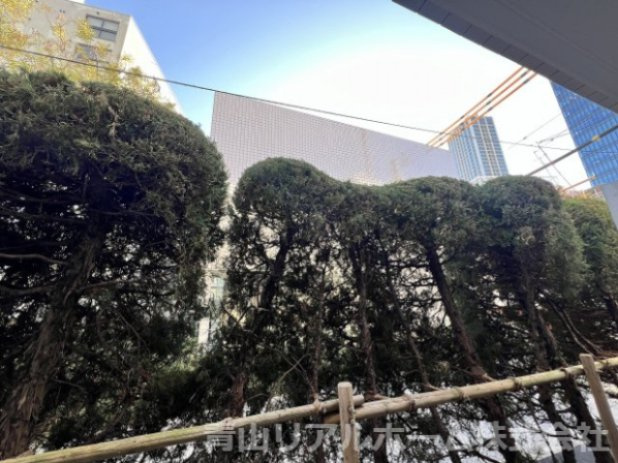 【展望】 | コスモスマーサ