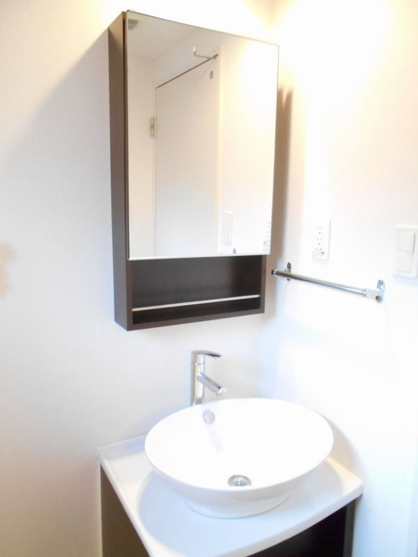 リブリ・雑司が谷の独立洗面台