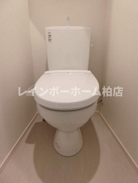 【仲介手数料：50％OFF】対象物件！のトイレ|トイレも気になるポイント