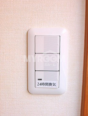 グレースラテールのその他|スイッチ