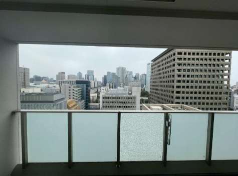 ザ・レジデンス平河町の展望