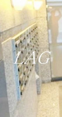 【その他共用部分】 | ルーブル品川南大井 | 集合ポストです。