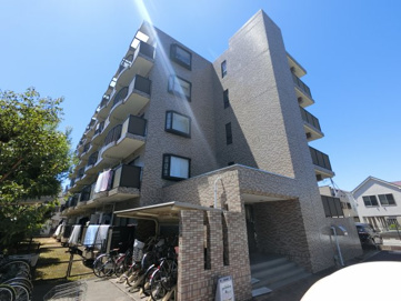 グレープ・パルの画像