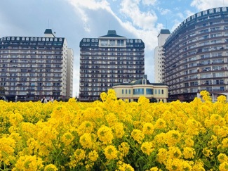 【外観】 | 琵琶湖アーバンリゾート2番館 | 第一なぎさ公園の菜の花畑越しの外観