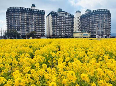 【その他】 | 琵琶湖アーバンリゾート2番館