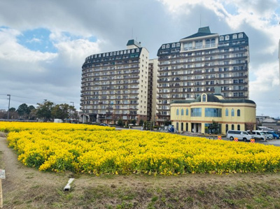 【外観】 | 琵琶湖アーバンリゾート2番館 | 第一なぎさ公園の菜の花畑越しの外観