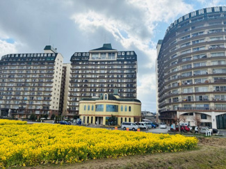 【外観】 | 琵琶湖アーバンリゾート2番館 | 第一なぎさ公園の菜の花畑越しの外観