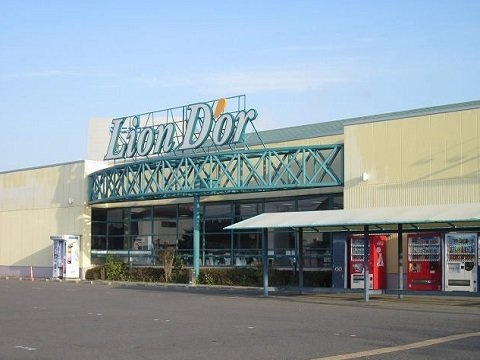 サンライズ　ブロードⅠの周辺|リオン・ドール鏡石店まで900m