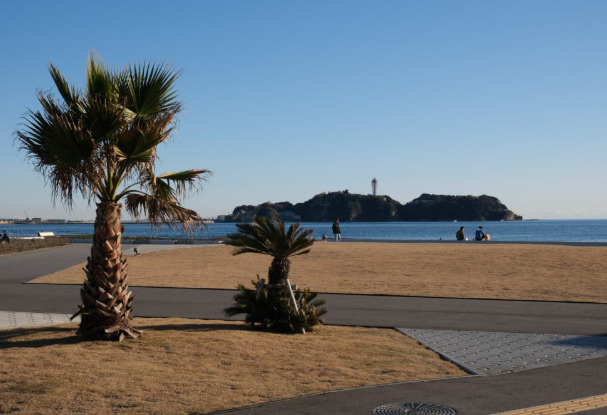 SHONAN FAMILY RESORT — 鵠沼海岸の家の周辺