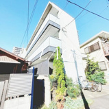 カシュカシュの画像