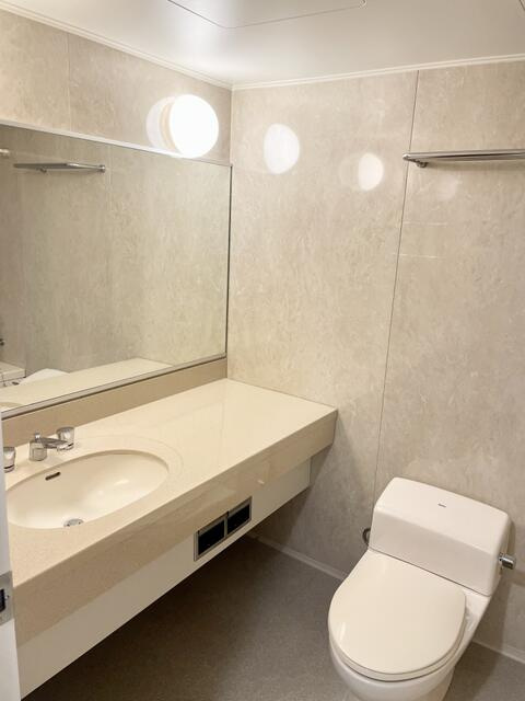 カサデ・ミレの洗面所