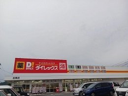 ルミノース・レジューネⅡの周辺|ダイレックス加東店まで1300m