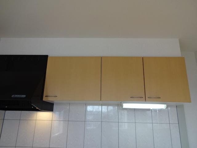 メゾンミルキーウェイⅡのその他|ベランダ