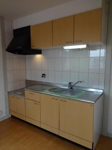 メゾンミルキーウェイⅡの洗面所|洗面