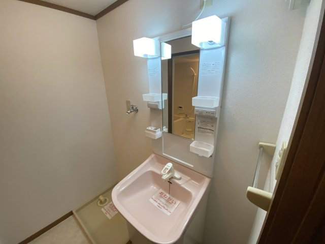 ピュールロジュマンの洗面所