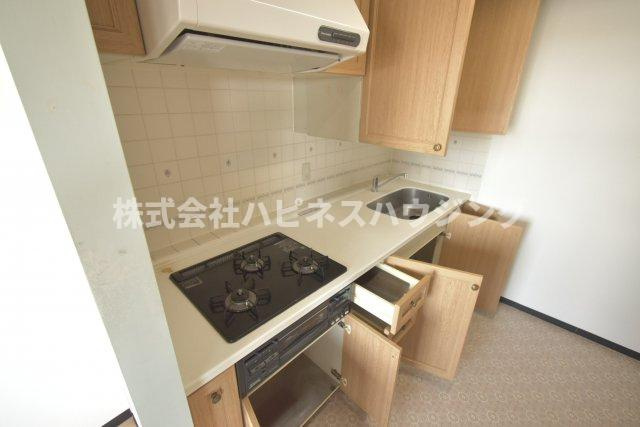 INSURANCE(インシュランス) BLDG.(ビルディング) Ⅸ(ナイン)船橋のキッチン