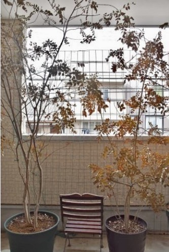 小山北大野町