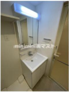 スプランディッドあびこ駅前DUEの洗面所