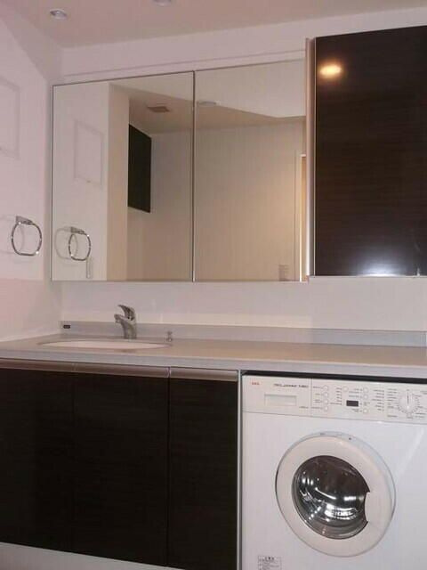 ニューシティアパートメンツ芝公園の洗面所