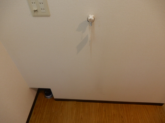 加東市山国の賃貸マンションの内装