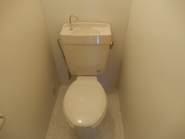 加東市山国の賃貸マンションのトイレ