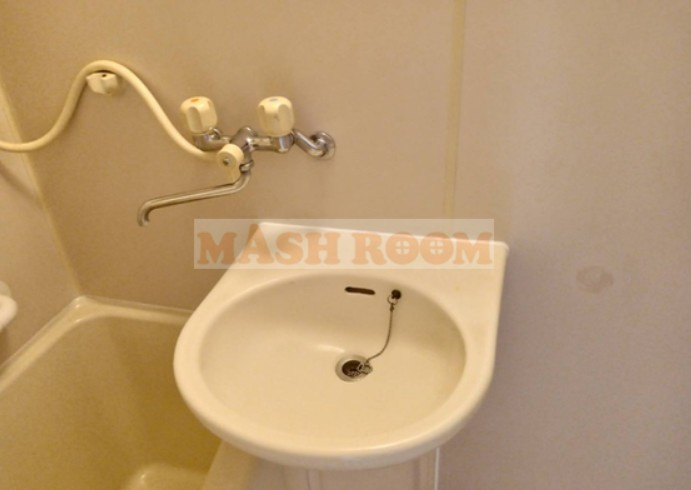 スイートヒルズⅢの洗面所