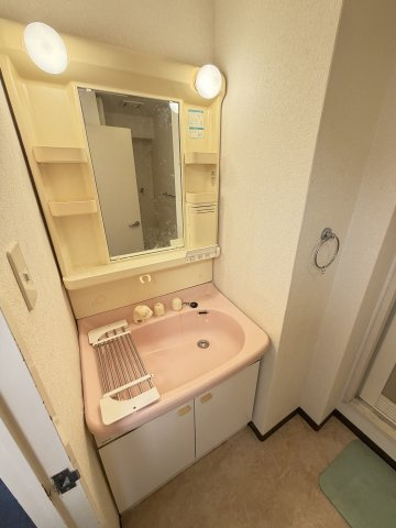 デュコムワイズの洗面所