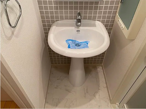 レジディア九段下の洗面所