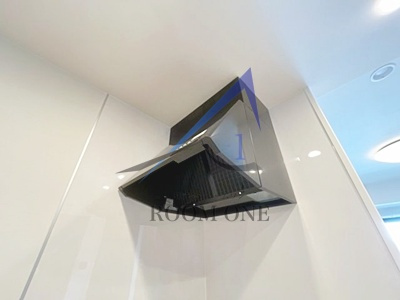 フリーダムファンのその他