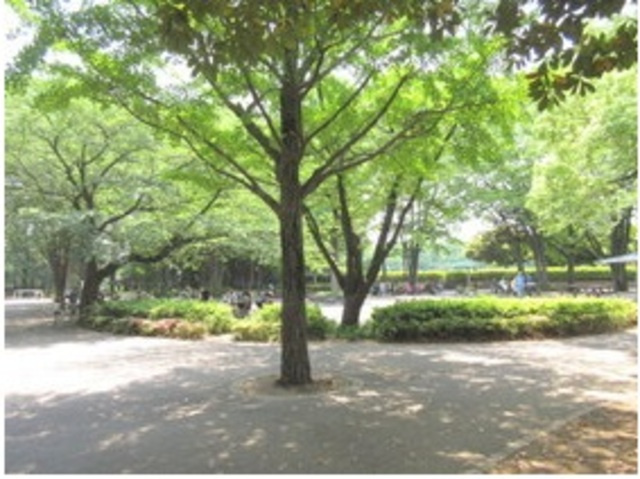 カーサラミーナのその他|城北中央公園