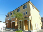 Ｂｅｌｌ　Ｔｒｅｅの画像